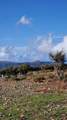 Fanal forest
A small plateau on the ER 209 road that connects the foothills of Pico Ruivo with Porto Moniz. An inconspicuous car park is on it, over 1100 m above sea level. This altitude keeps the who