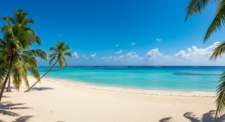 Tropical beach paradise with turquoise water and leaning palm tree under a clear blue sky