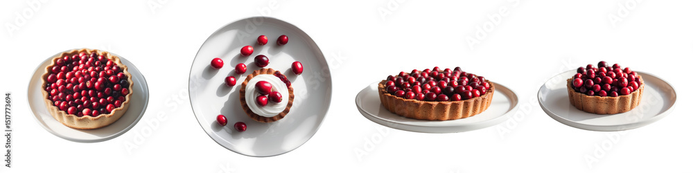 Poster cranberry tart or pie varieties displayed on white plates with fresh cranberries arranged on top on 