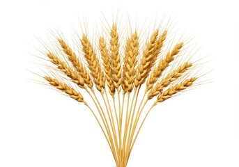 Fototapeta premium Golden Wheat Stalks Elegantly Arranged on a Pristine White Background