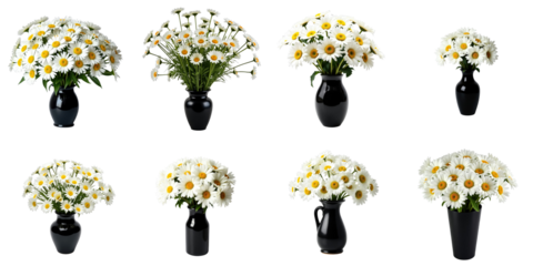 various arrangements of daisies in transparent vases displayed against a transparent background showcasing different floral designs and orientations in a cohesive collection