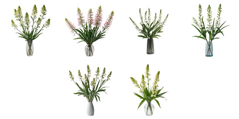 Bouquet of Lysimachia clethroides flowers in assorted vases displayed in a flat lay arrangement on a transparent background, showcasing various colors and vase designs.