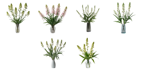 Bouquet of Lysimachia clethroides flowers in assorted vases displayed in a flat lay arrangement on a transparent background, showcasing various colors and vase designs.