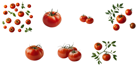 fresh ripe tomatoes with green stems isolated on transparent background showcasing various sizes and arrangements of tomatoes with leaves