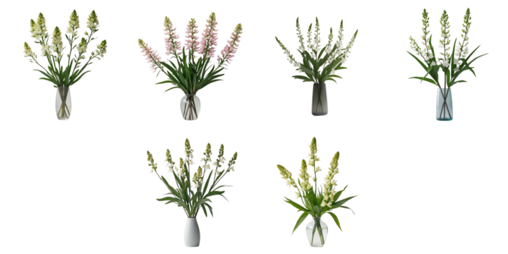 Bouquet of Lysimachia clethroides flowers in assorted vases displayed in a flat lay arrangement on a transparent background, showcasing various colors and vase designs.