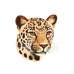 a cute small Leopard