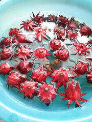 fresh roselle fruit in the bowl of water