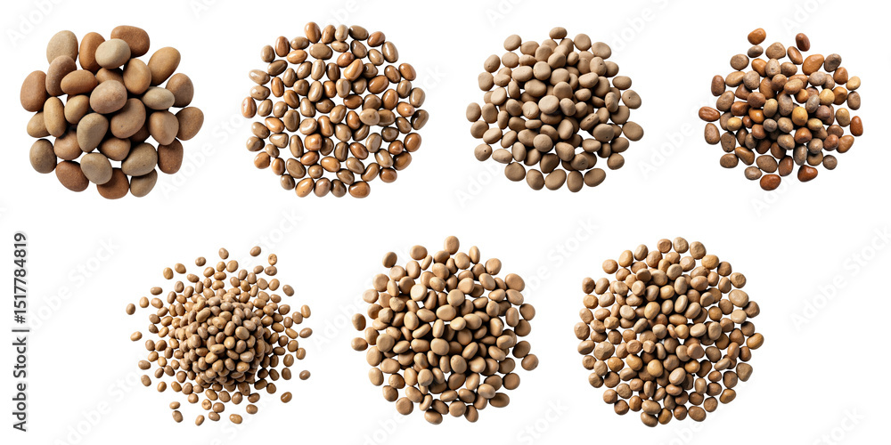 Aufkleber variety of brown pebbles arranged in clusters on a transparent background showcasing smooth textures