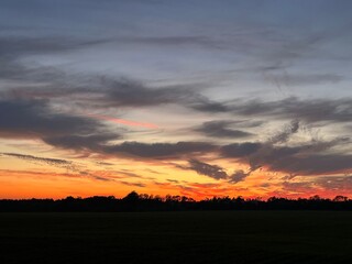 sunset over the field