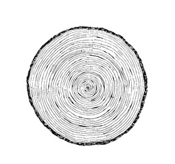 Tree Rings: A Detailed Ink Drawing of a Cross-Sectioned Tree Trunk, showcasing concentric growth rings in black and white.