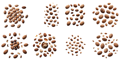 Collection of various nuts arranged in circular patterns on a transparent background showcasing different types and sizes of nuts including almonds hazelnuts walnuts and more