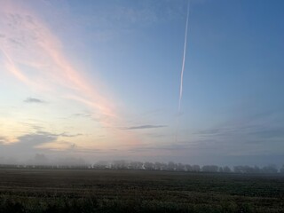 morning mist over the field