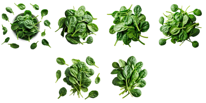 Various arrangements of fresh green spinach leaves displayed on a transparent background featuring whole spinach leaves and separate leaf clusters in multiple perspectives and compositions.
