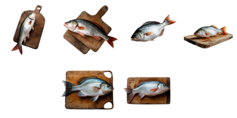 Multiple fresh common rudd fish displayed on wooden cutting boards isolated on transparent background showing different angles and arrangements for culinary presentation