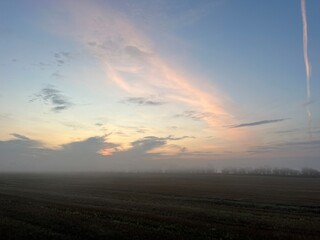 a misty morning over the field