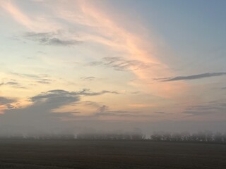 a misty morning over the field