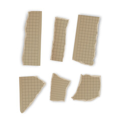 Torn Pieces of Lined and Grid Paper