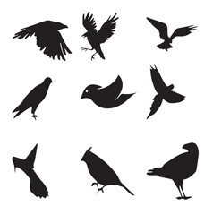  Nice Birds Vector set