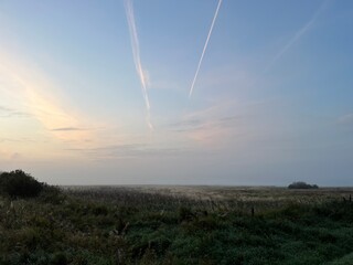 misty morning in the morning