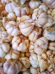 Aromatic Garlic Bulbs Fresh Harvest, Culinary Delights