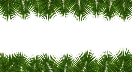 Tropical Palm Fronds Framing a White Space for Summer Vacation Vibes