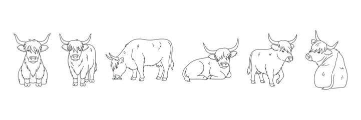 Hand drawn vector outline illustrations of Highland cows in various poses including standing sitting grazing and resting perfect for farm animal designs rustic decor