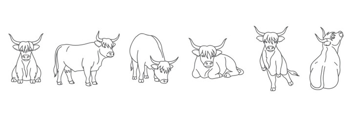Hand Drawn Vector Outline Icons of Highland Cow in Diverse Poses, Rustic Farm Animal Illustrations, Scottish Cattle Line Art, Vintage Style Highland Cows, Minimalist Animal Sketches for Logos and Bran
