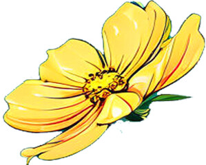 yellow flower isolated
