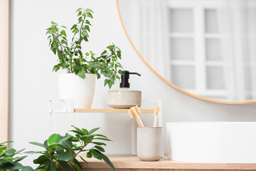 Holder of brushes with toothpaste, soap and houseplants on table in bathroom