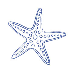 Pen drawn starfish on white background. Starfish doodle. Vector vintage element