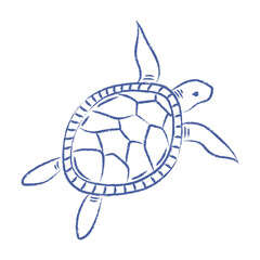 Sea turtle vector. Doodle of big turtle with pencil, chalk texture. Vector isolated element