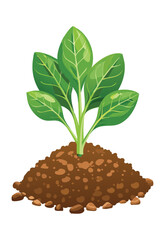 Young Green Plant on Soil Illustration