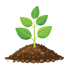 Healthy Green Leafy Plant in Soil