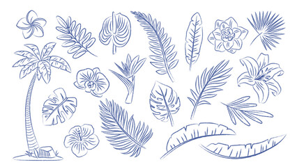 Set of pen drawn tropical leaves and plants. Palm branches, fern, exotic flowers. Vector contour elements