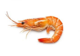 Perfectly cooked vibrant orange shrimp displayed on a clean white background
