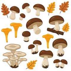 Autumn Fungus Fantasy