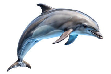 jumping dolphin isolated on a white background PNG. GENERATIVE AI