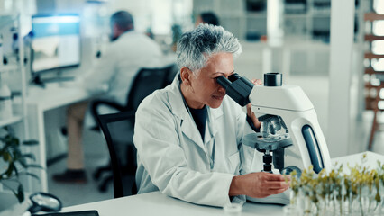 Microscope, plant and science with person in laboratory for gene function, biology and medical...