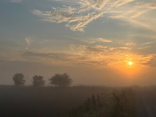 sunrise over the field a misty morning