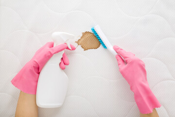 Woman hands in pink rubber protective gloves holding spray bottle and brush and cleaning fresh spilled dark coffee stain on white soft mattress cloth. Closeup. Point of view shot. Top down view.