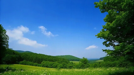 Fototapeta premium Sunny Pathway Through Lush Green Hills