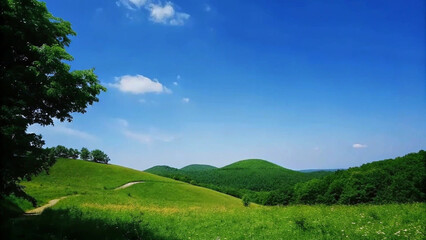 Fototapeta premium Sunny Pathway Through Lush Green Hills
