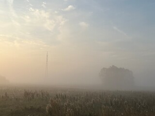 morning mist over the field