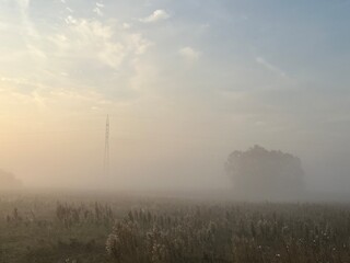morning mist over the field