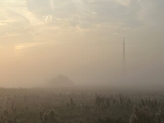 morning mist over the field