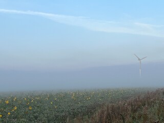 wind turbines in the fog