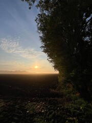 sunrise over the field a foggy morning