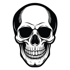 Detailed black and white skull illustration with emphasis on teeth and bone structure
