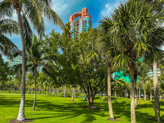 South Pointe Park with palm trees and green grass, Miami beach, Florida, USA