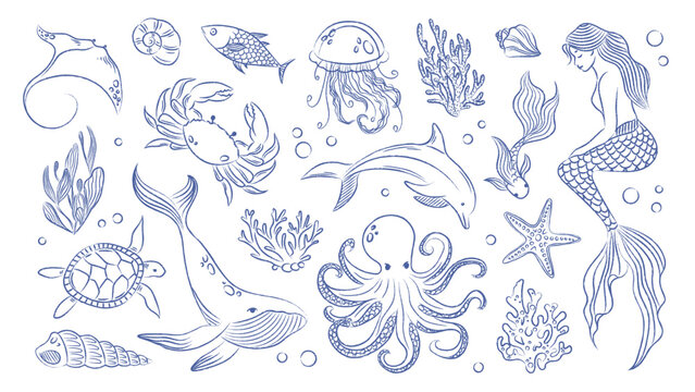 Doodle marine elements set. Pen drawn vintage sea elements. Mermaid, sea animals, jellyfish, coral clipart